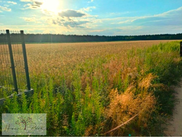 Działka Huta Bardzyńska
