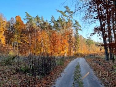 Działka budowlana Drogosław