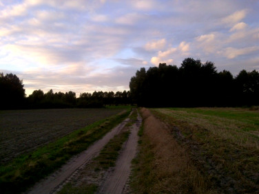 Działka Zbiersk
