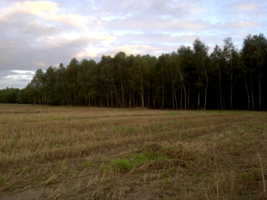 Działka Zbiersk