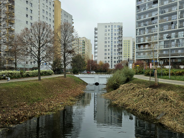 Mieszkanie blok mieszkalny Warszawa