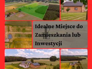 Działka Czarnoty