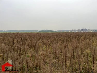 Działka budowlana Centawa sprzedam