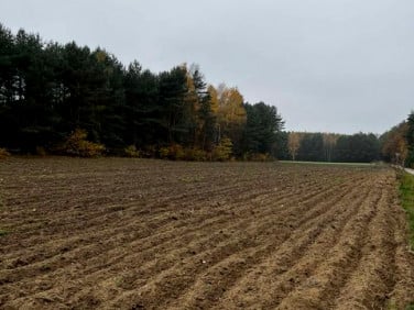 Działka budowlana Justynów