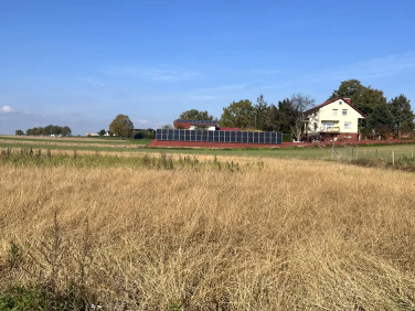 Działka budowlana Jędrzychów