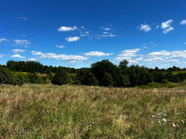 Działka budowlano-rolna Krzeszowice