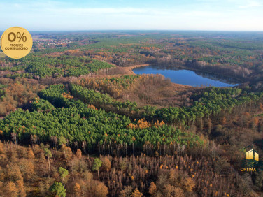 Działka Bolechowo