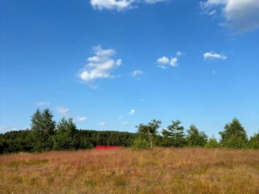 Działka budowlana Gardna Wielka