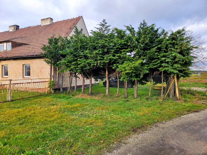 Mieszkanie Brzezina Sułowska