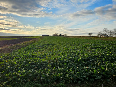 Działka budowlana sprzedam