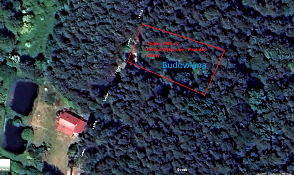 Zalesiona działka Tarczyn