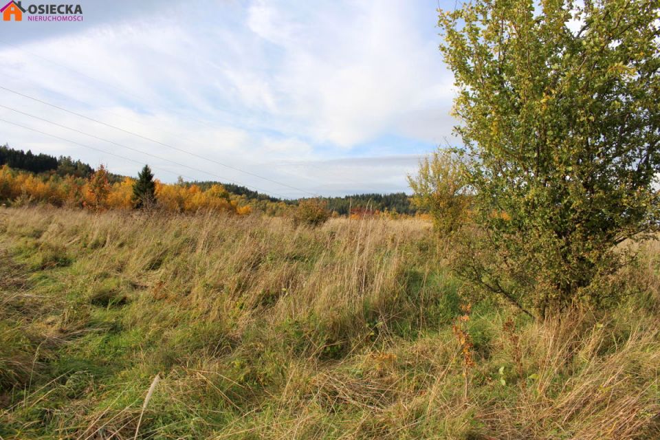 Działka rolna Stare Bogaczowice