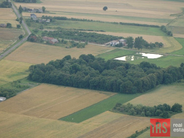 Działka siedliskowa Trzebuchów