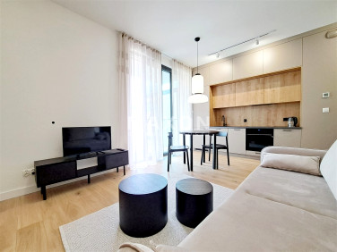 Mieszkanie apartamentowiec wynajem