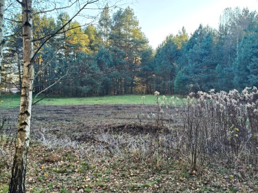 Działka leśna Krasiejów sprzedam