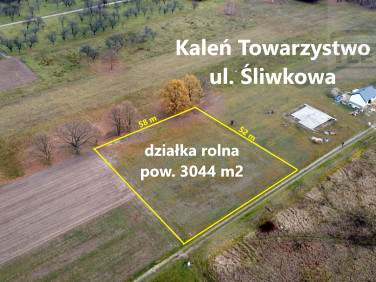 Działka Kaleń-Towarzystwo