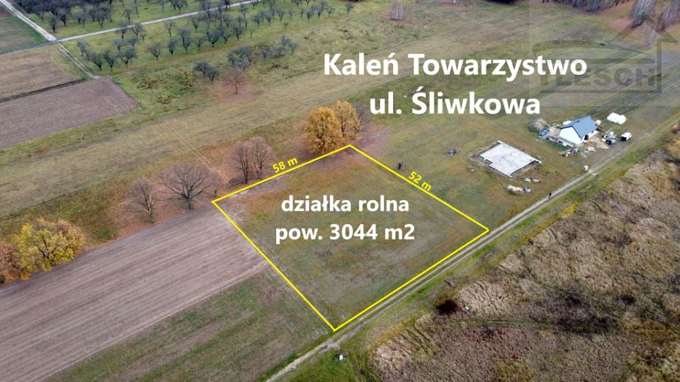 Działka Kaleń-Towarzystwo