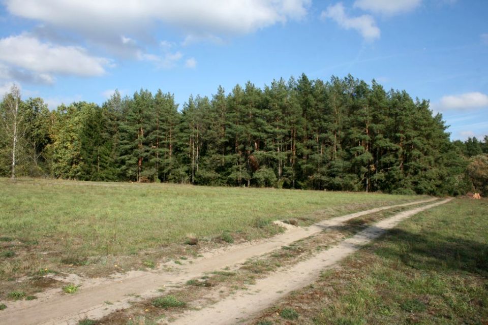 Zdjęcie 2