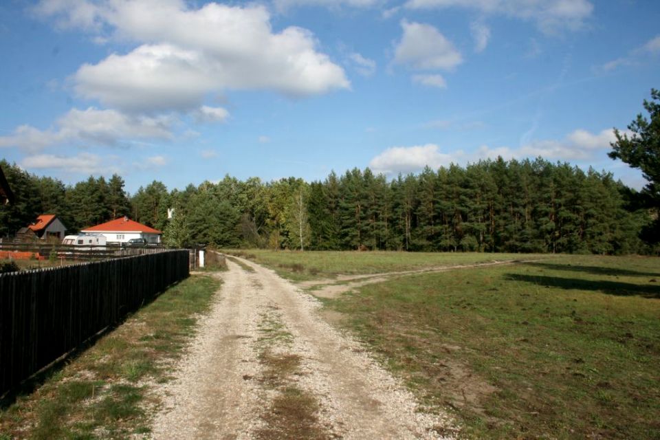 Zdjęcie 3