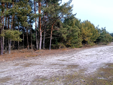 Działka Rybka