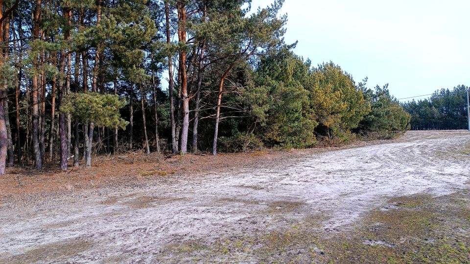 Działka Rybka