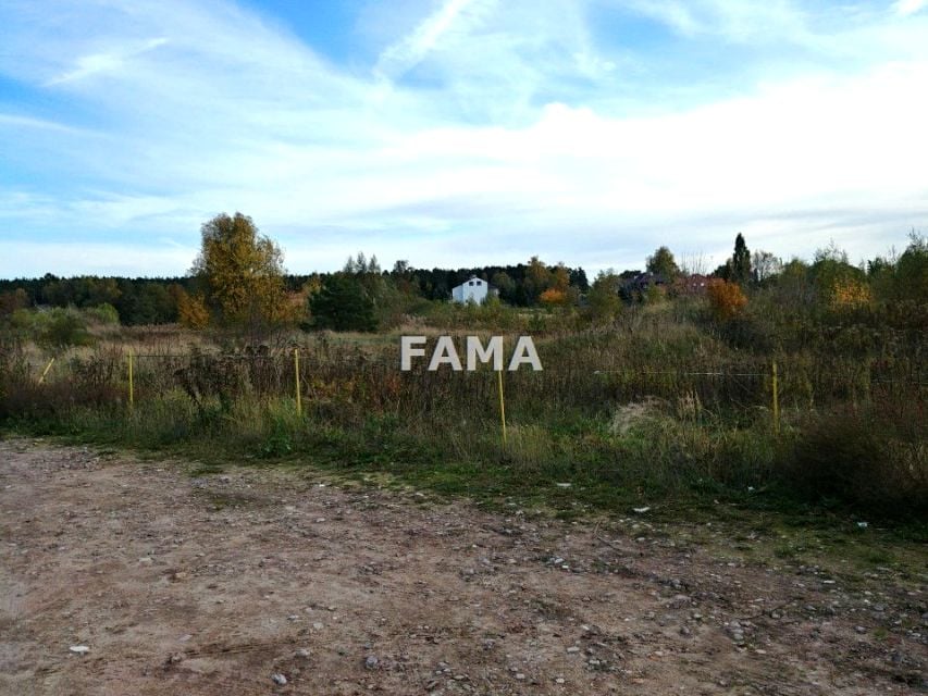 Zdjęcie 2
