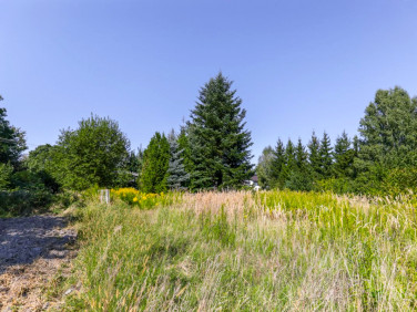 Działka Żabia Wola