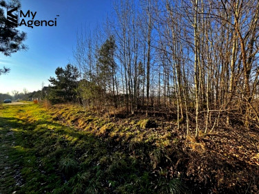 Działka Chwaszczyno