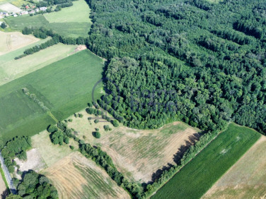 Działka Grędzina