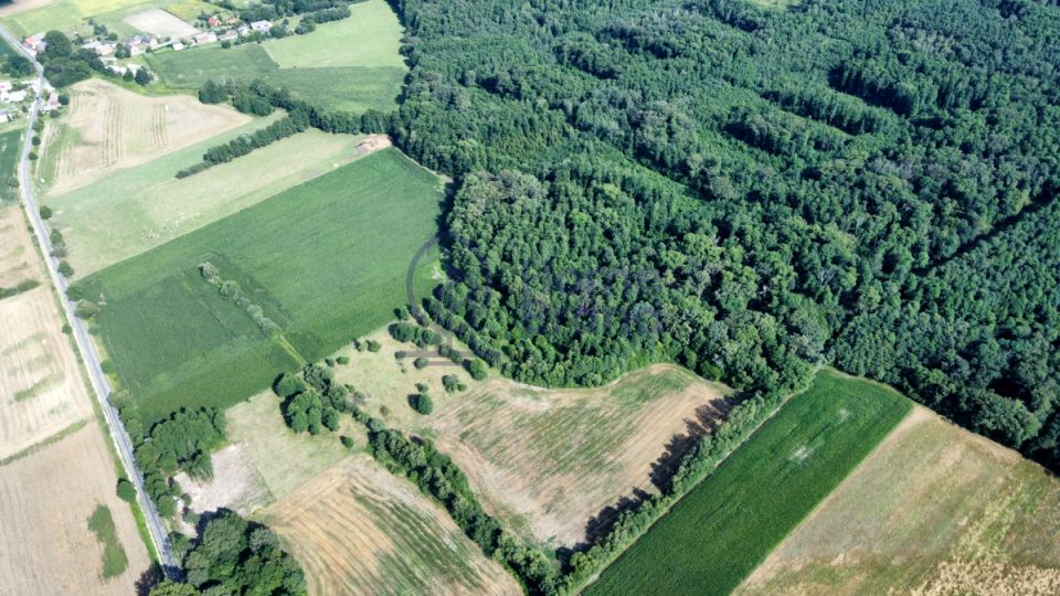 Działka Grędzina
