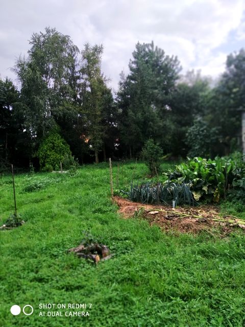 Działka Smolec