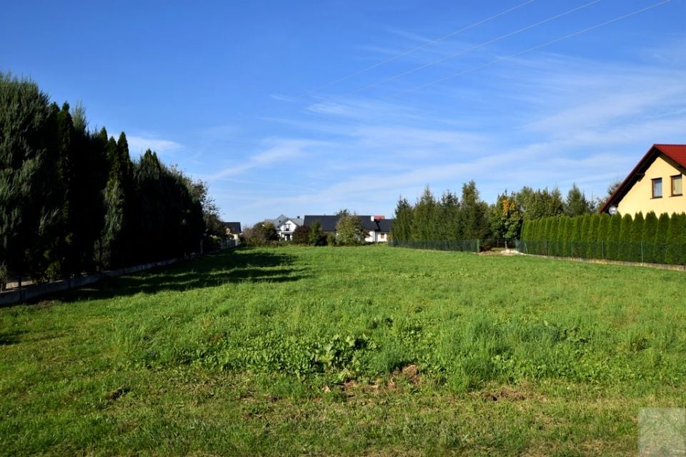 Zdjęcie 2