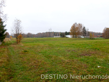 Działka Wolica