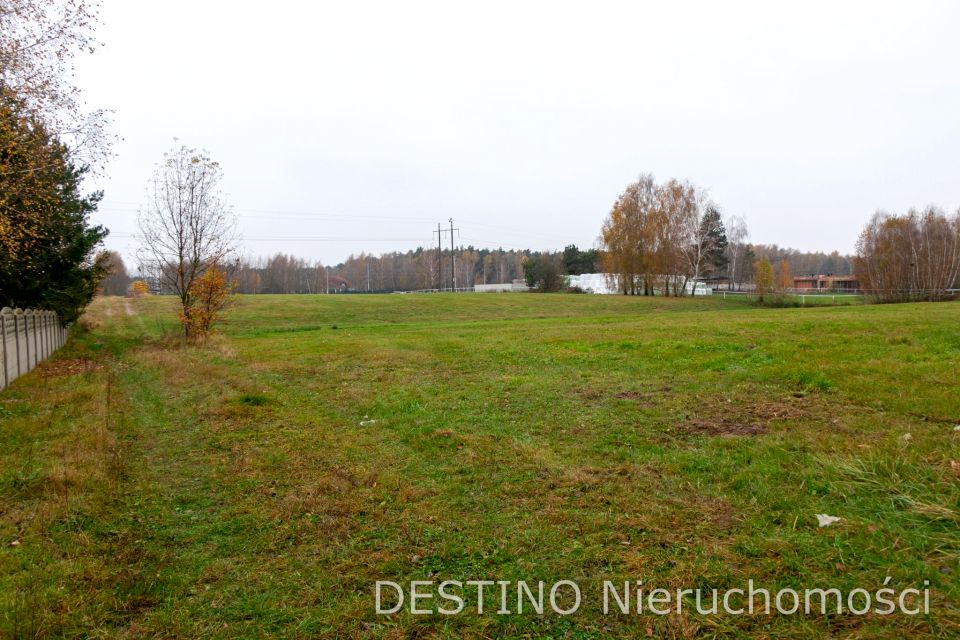 Działka Wolica