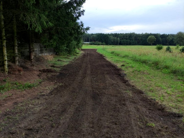 Działka budowlana Modrzewie