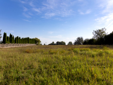 Działka Starościce