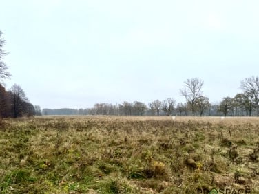 Działka budowlana Zielona Góra sprzedam