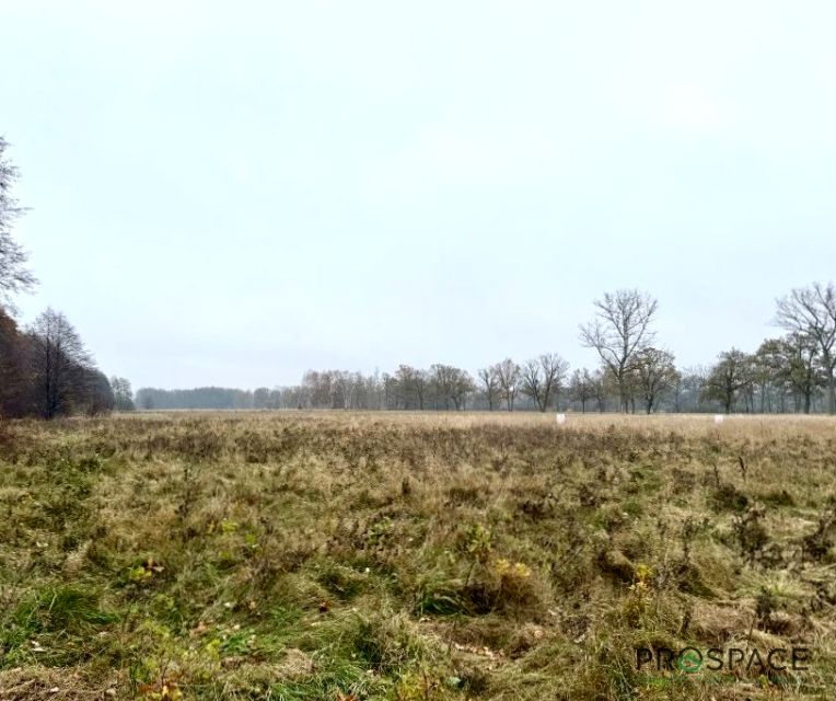 Działka budowlana Zielona Góra sprzedam