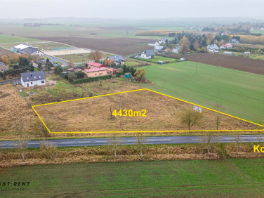 Działka Czernin