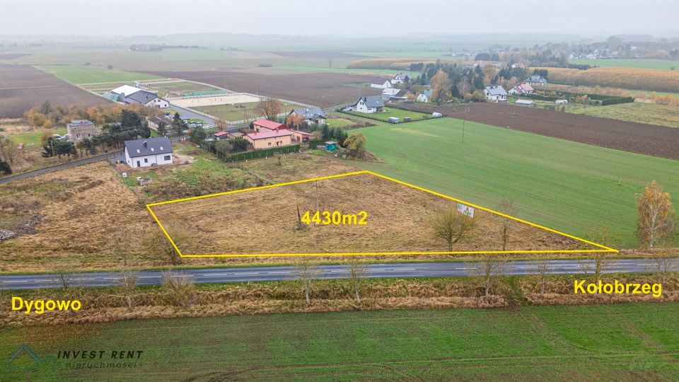 Działka Czernin