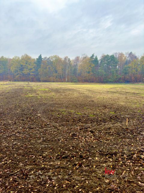 Działka budowlana Orzesze