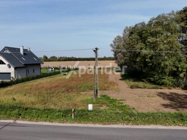 Działka budowlana Szczeglin