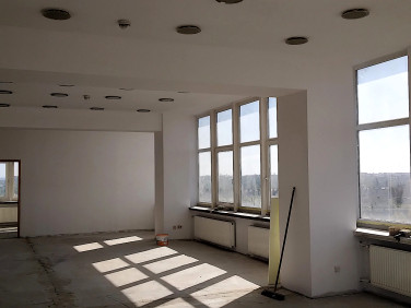 Lokal Gliwice wynajem