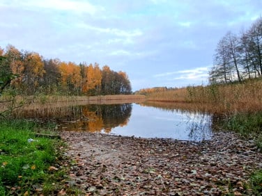 Działka nad jeziorem