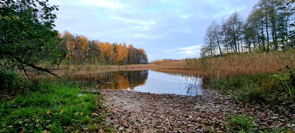 Działka nad jeziorem