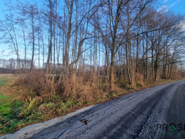 Działka usługowa Zielona Góra