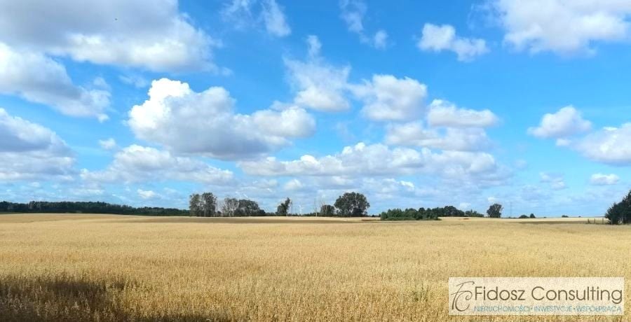 Działka rolna Korytowo