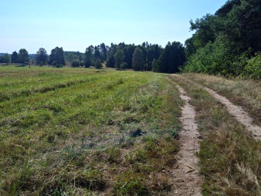 Działka siedliskowa Ciemnik sprzedam