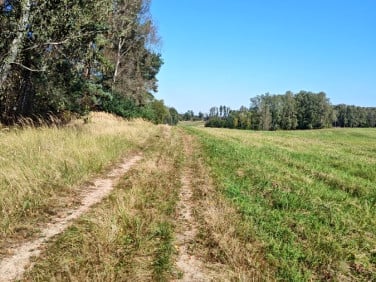 Działka siedliskowa Ciemnik