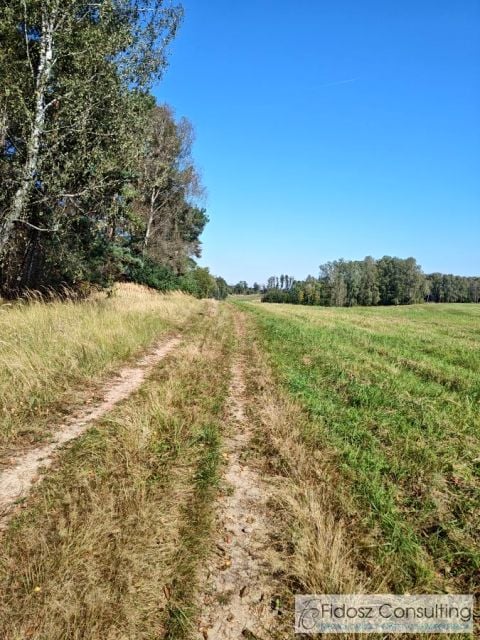 Działka siedliskowa Ciemnik